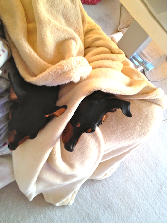 20120506-5.png