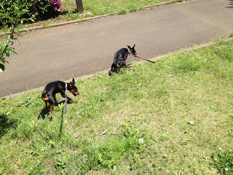 20120506.png
