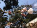IMG_4563.jpg