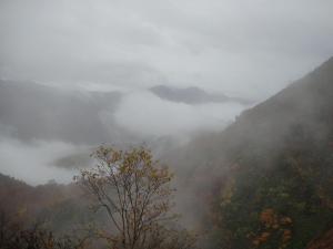 雨