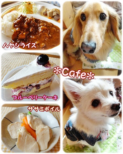 カフェ