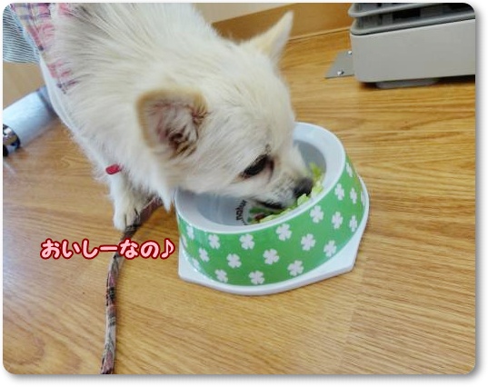 ラン