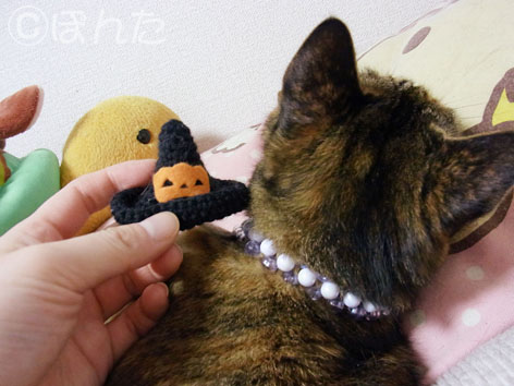 ハロウィン_うに1
