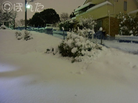 2014雪_3