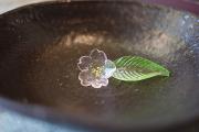 紫根とは?2