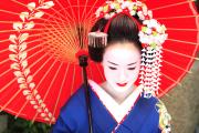 紫根とは1