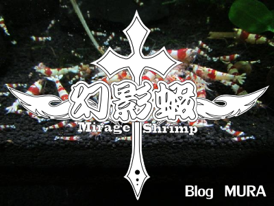 20130410091012838.png