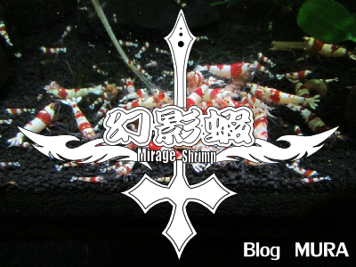 201304100910136fb.png