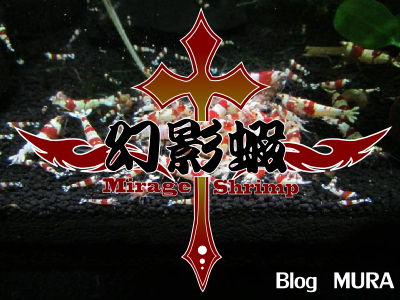 20130410091014fd9.png