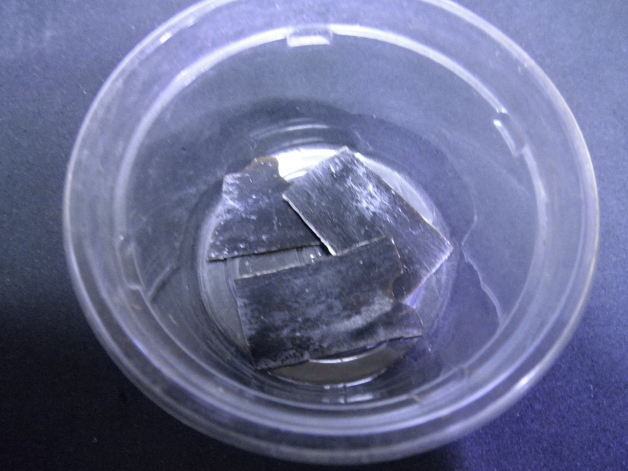 PB260210.jpg