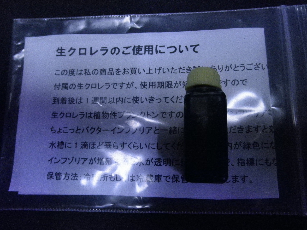 PC090403.jpg