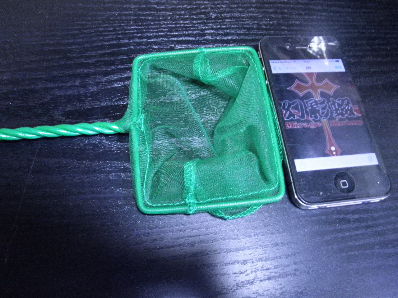 PC120438.jpg
