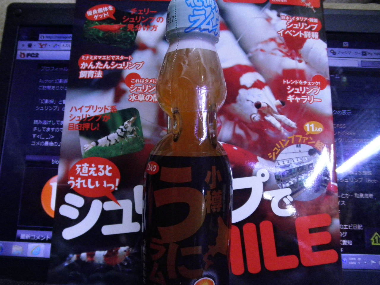 PC170480.jpg