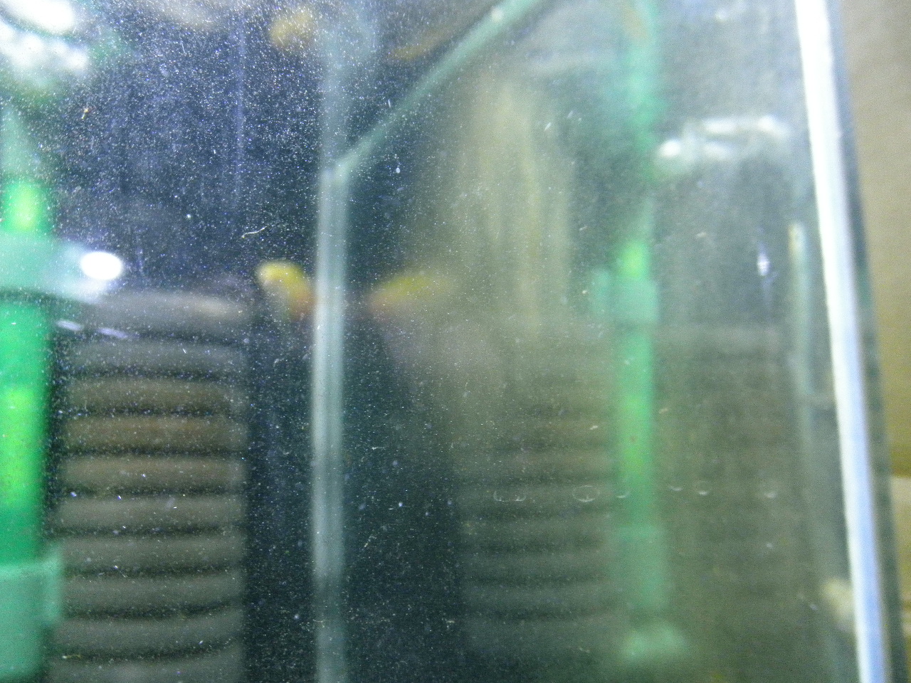 PC240605.jpg