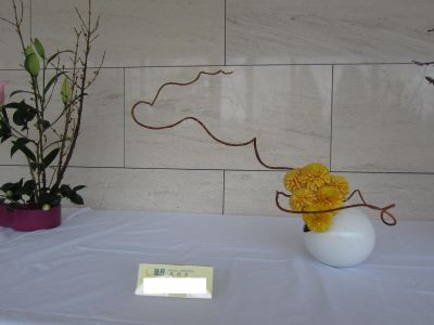 IMG_3768-1_400.jpg