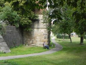 DSCN3156.jpg