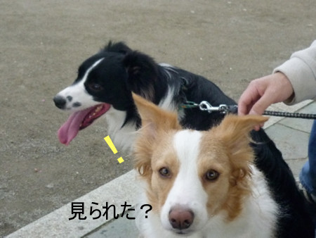 あくび2