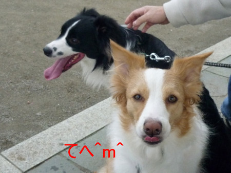 あくび3