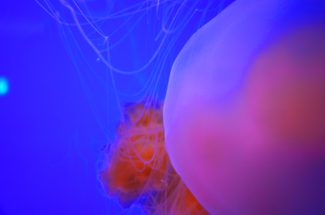 120225_8.jpg