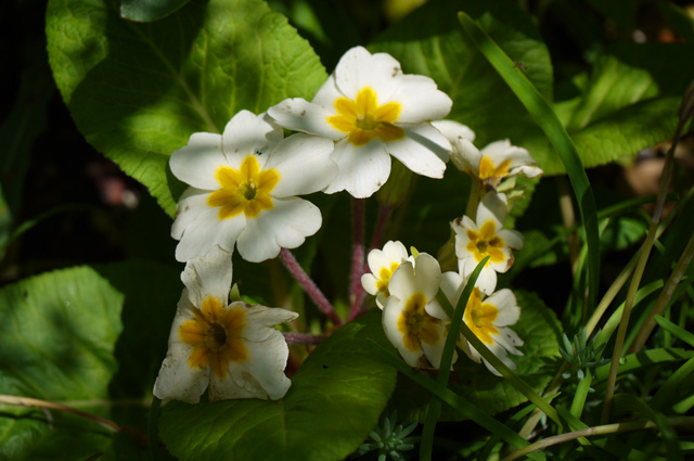 120427_10.jpg