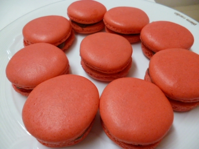 P1000436.jpg