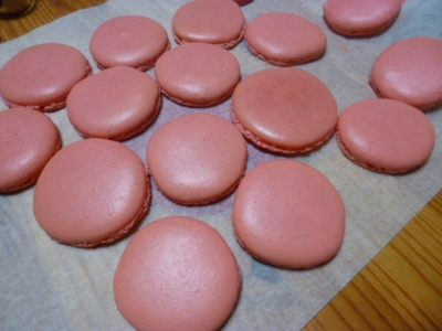 P1000439.jpg