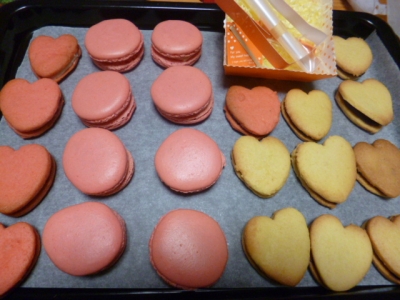 P1000441.jpg