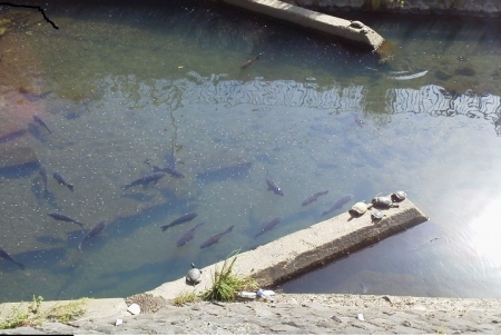 2014092801.jpg