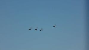 DSC02117.jpg