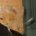 DSCF8171.jpg
