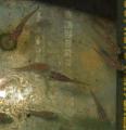 DSCF8325.jpg