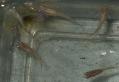 DSCF8466a.jpg