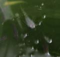 IMG_2545.jpg