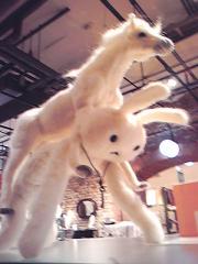 111008_143448.jpg