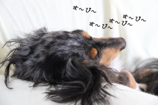 す~ぴ~