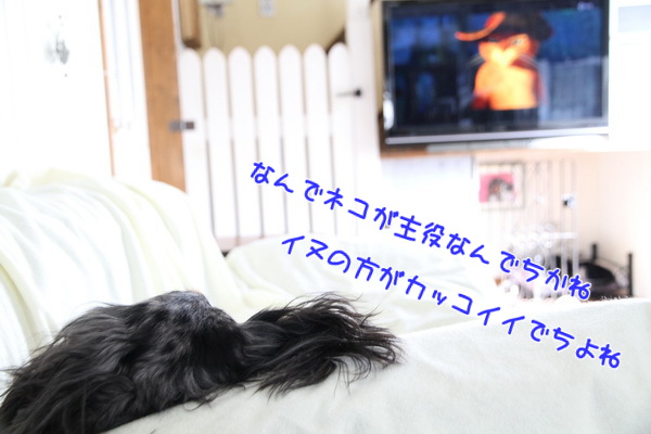 なんで