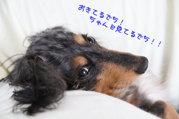 起きてる