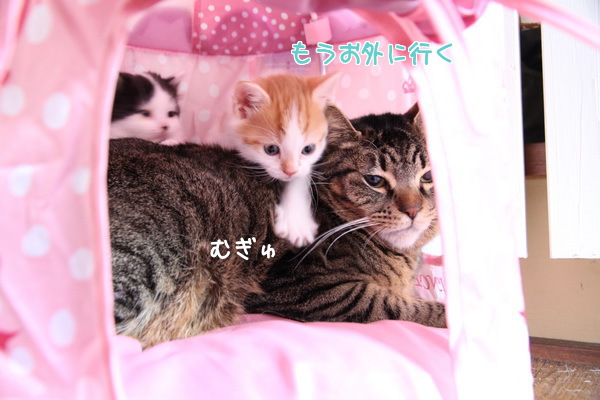 むぎゅ