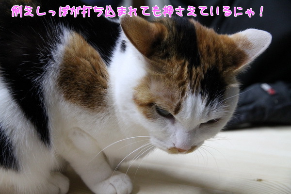 例え