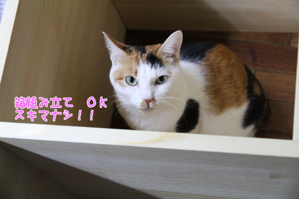 箱