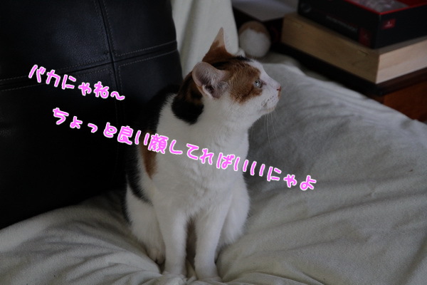 いいかお