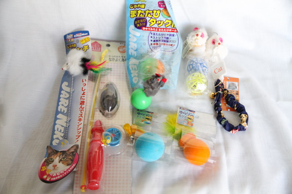 IMG_1652_20120404230142.jpg