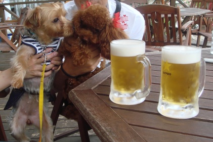 ビールとここあ