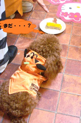 待て!
