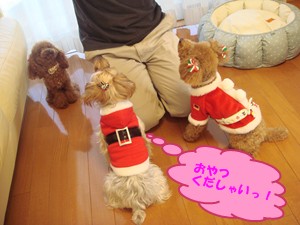 おやつっ!!!