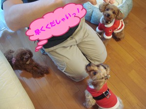 早くくだしゃいっ!