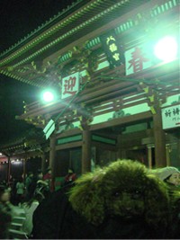 ここあ@鶴岡八幡宮