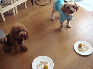 待て!!!
