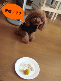 待て!!!
