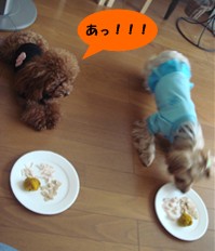 あっ!!!